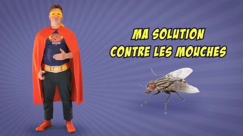 Fly Trap - Ma solution contre les mouches